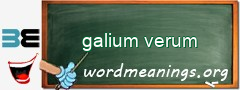 WordMeaning blackboard for galium verum